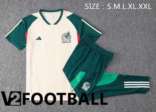 Mexico Training T Shirt + Pants Brown 2023/2024