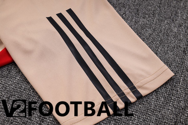 Sao Paulo FC Training T Shirt + Shorts Brown 2023/2024