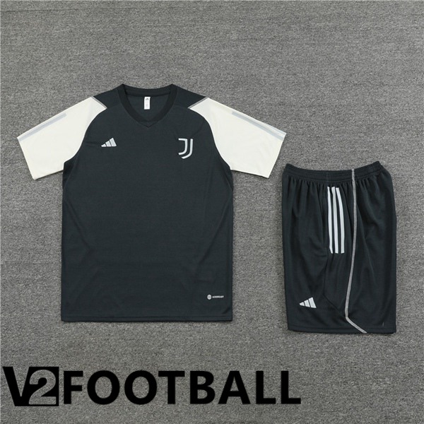 Juventus Training T Shirt + Shorts Grey 2023/2024