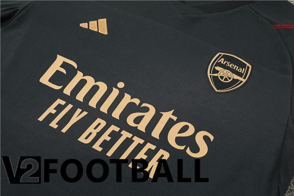 Arsenal Training T Shirt + Shorts Grey 2023/2024