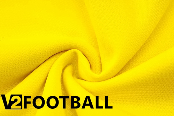 Dortmund BVB Training Tracksuit Sweatshirt Hoodie Yellow 2024/2025