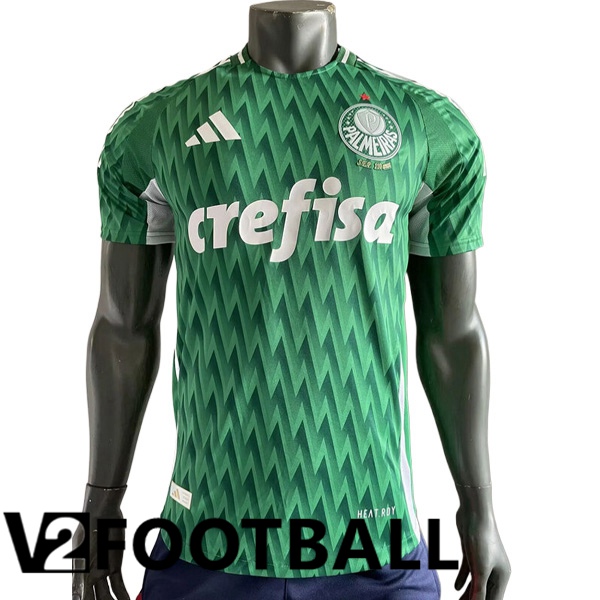Palmeiras Soccer Shirt Special Edition Green 2024/2025