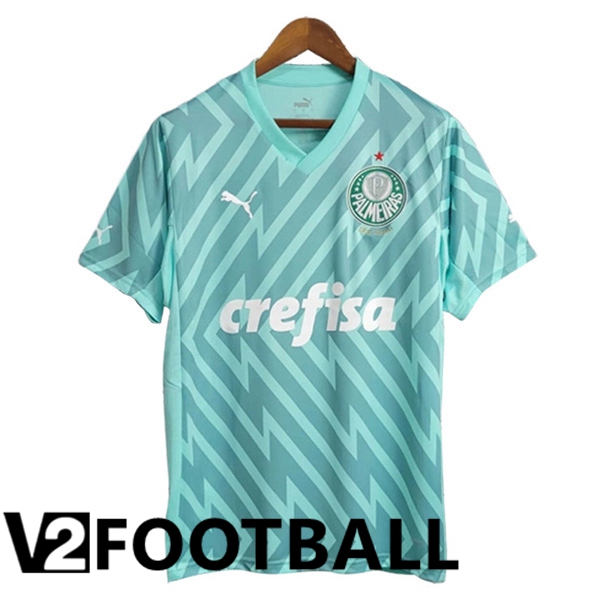 Palmeiras Goalkeeper Soccer Shirt Green 2024/2025