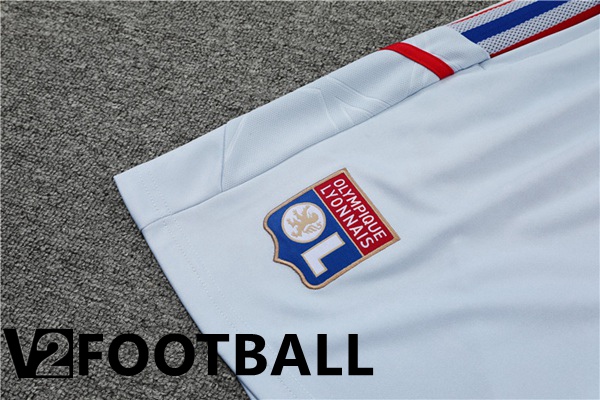 Olympique Lyon Training T Shirt + Shorts Grey 2022/2023