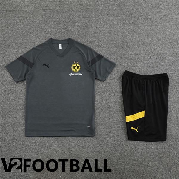 Dortmund BVB Training T Shirt + Shorts Grey 2023/2024