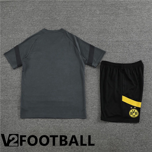 Dortmund BVB Training T Shirt + Shorts Grey 2023/2024