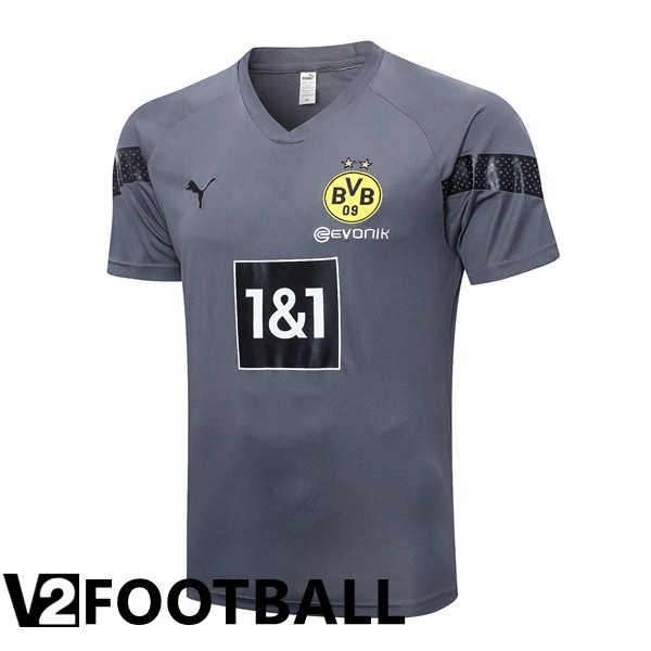 Dortmund BVB Training T Shirt Grey 2023/2024