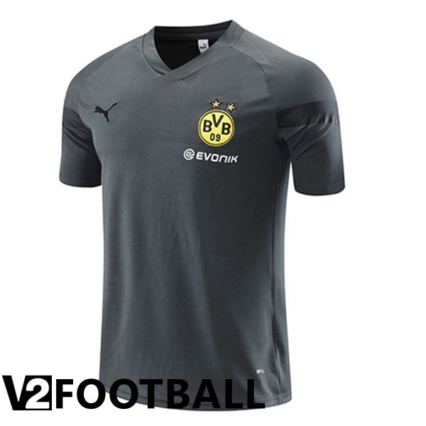 Dortmund BVB Training T Shirt Grey 2023/2024