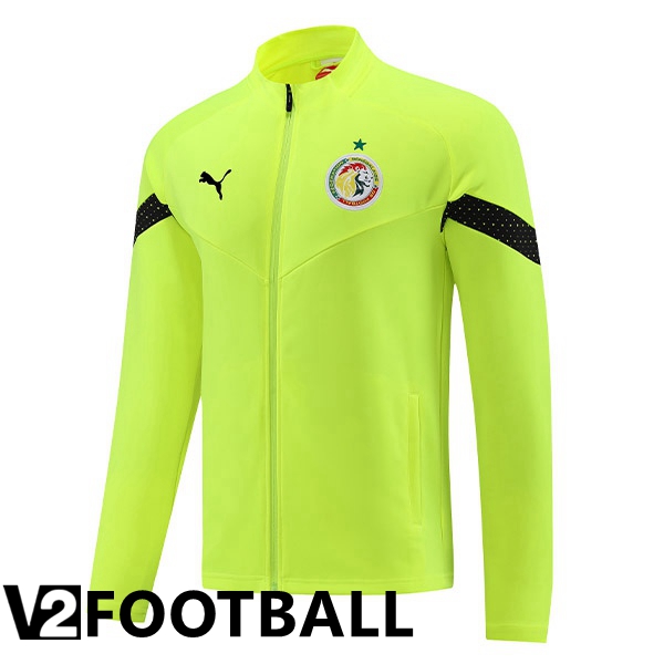 Senegal Training Jacket Green 2023/2024