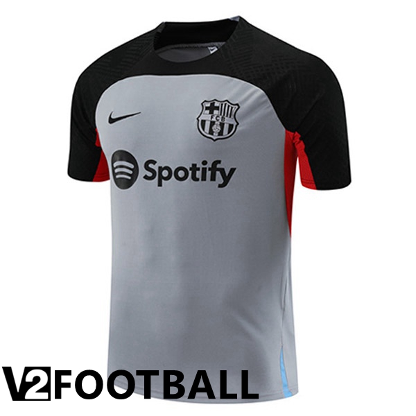 FC Barcelona Training T Shirt Grey 2023/2024