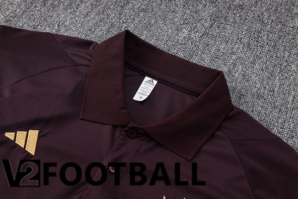 Germany Soccer Polo + Pants Brown 2023/2024