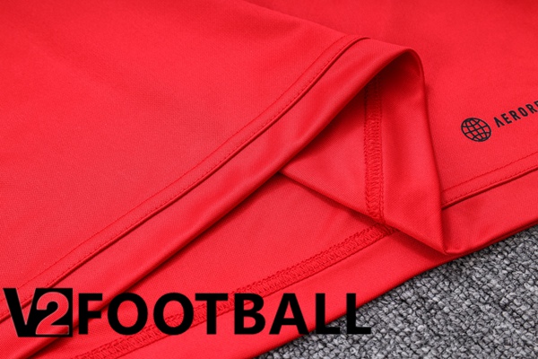 Flamengo Training Tracksuit Suit Red 2023/2024