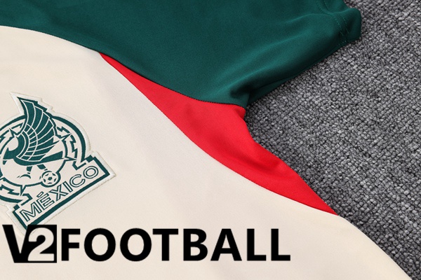 Mexico Training T Shirt + Pants Brown 2023/2024