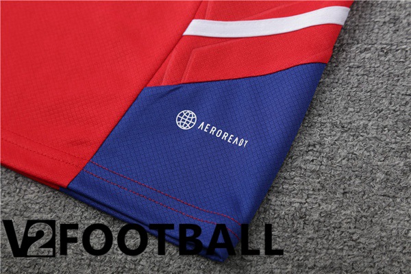 Bayern Munich Training T Shirt + Shorts Red 2023/2024