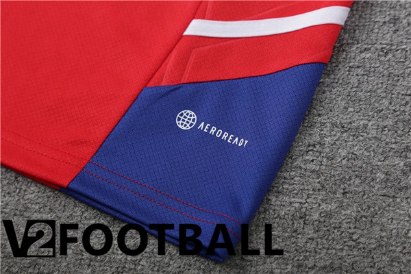 Bayern Munich Training T Shirt + Shorts Red 2023/2024