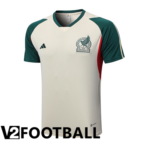 Mexico Training T Shirt Brown 2023/2024