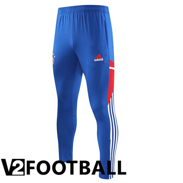 Bayern Munich Training Pants Blue 2023/2024