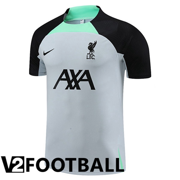 FC Liverpool Training T Shirt Grey 2023/2024