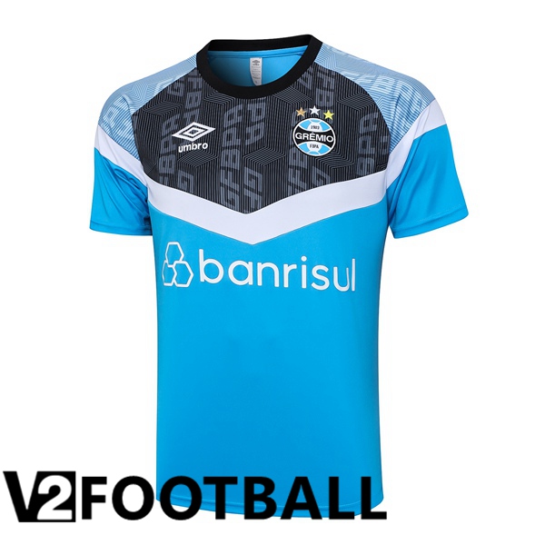 Gremio Training T Shirt Blue 2023/2024