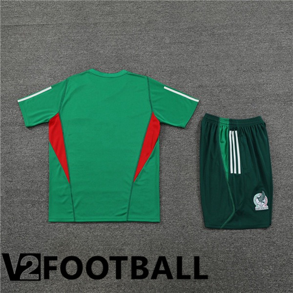 Mexico Training T Shirt + Shorts Green 2023/2024