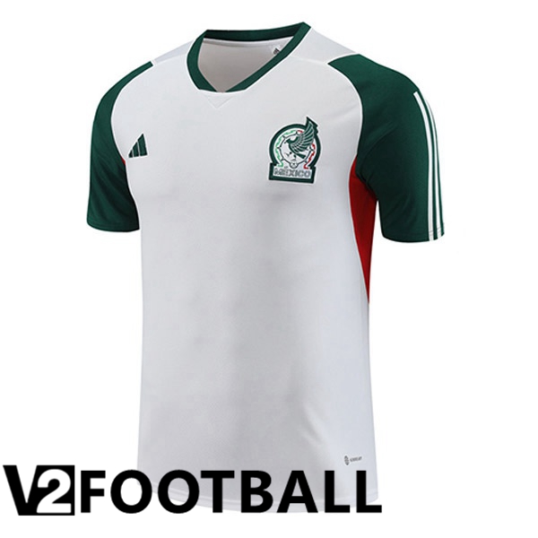 Mexico Training T Shirt White 2023/2024