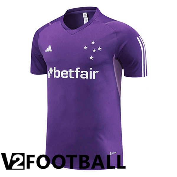 Cruzeiro EC Training T Shirt Purple 2023/2024
