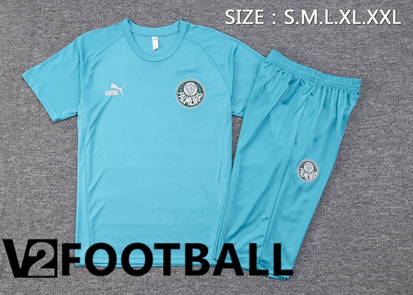 Palmeiras Training T Shirt + Shorts Cyan 2023/2024