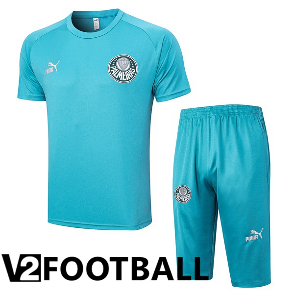 Palmeiras Training T Shirt + Shorts Cyan 2023/2024