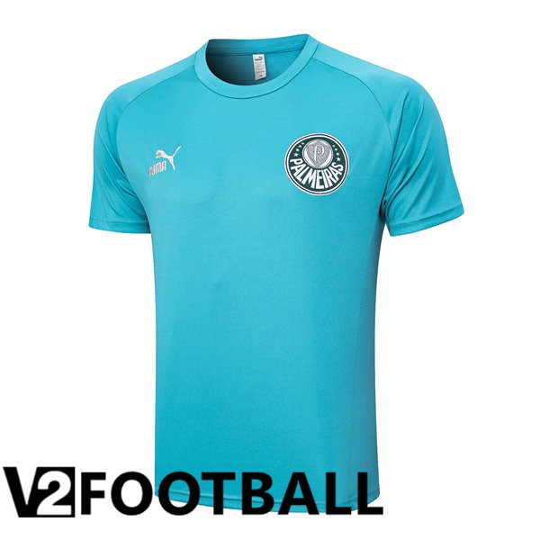 Palmeiras Training T Shirt Cyan 2023/2024