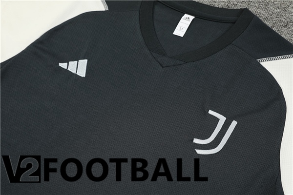 Juventus Training T Shirt + Shorts Grey 2023/2024