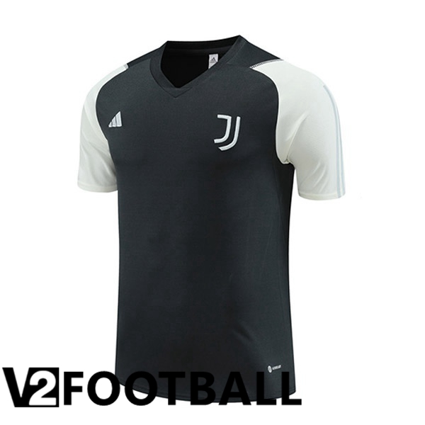 Juventus Training T Shirt Grey 2023/2024