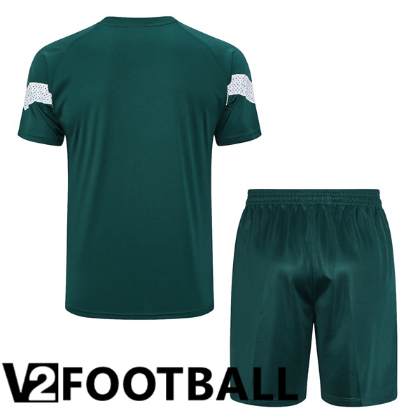 Palmeiras Training T Shirt + Shorts Green 2023/2024