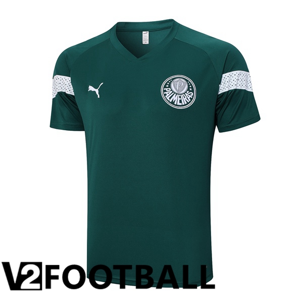 Palmeiras Training T Shirt Green 2023/2024