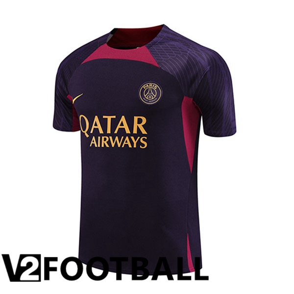 Paris PSG Training T Shirt Purple 2023/2024