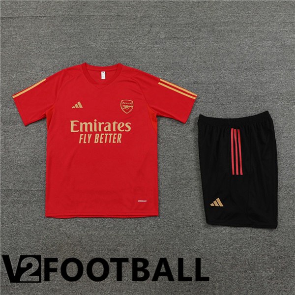 Arsenal Training T Shirt + Shorts Red 2023/2024