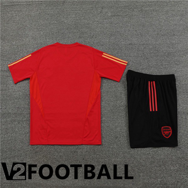 Arsenal Training T Shirt + Shorts Red 2023/2024