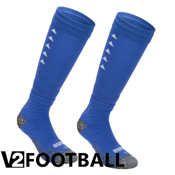 AC Milan Soccer Socks Third Blue 2023/2024