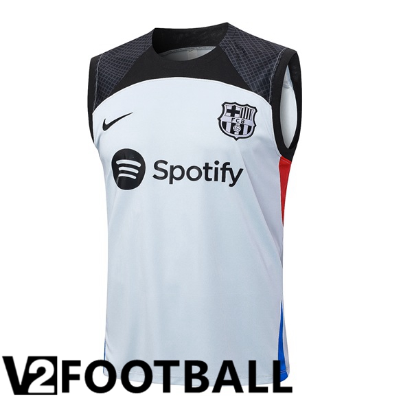 FC Barcelona Soccer Vest Grey 2023/2024