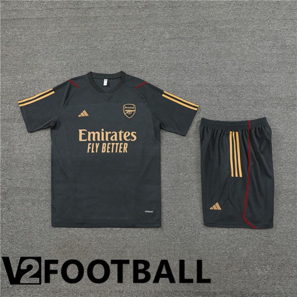 Arsenal Training T Shirt + Shorts Grey 2023/2024