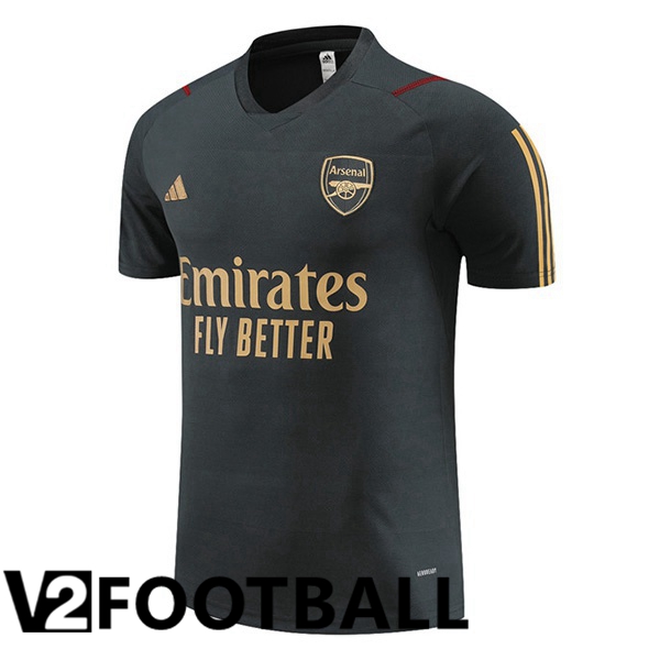 Arsenal Training T Shirt Grey 2023/2024