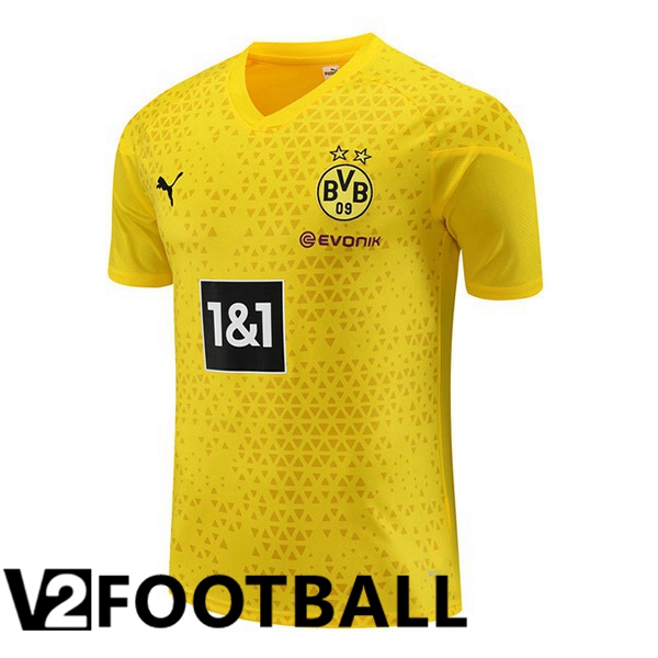 Dortmund BVB Training T Shirt Yellow 2023/2024