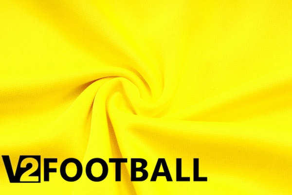 Dortmund BVB Training Tracksuit Suit Yellow 2023/2024