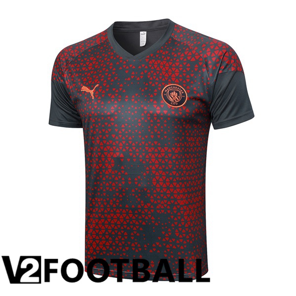 Manchester City Training T Shirt Red Grey 2023/2024