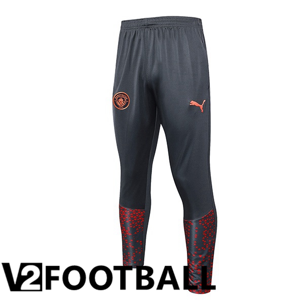 Manchester City Training Pants Grey 2023/2024