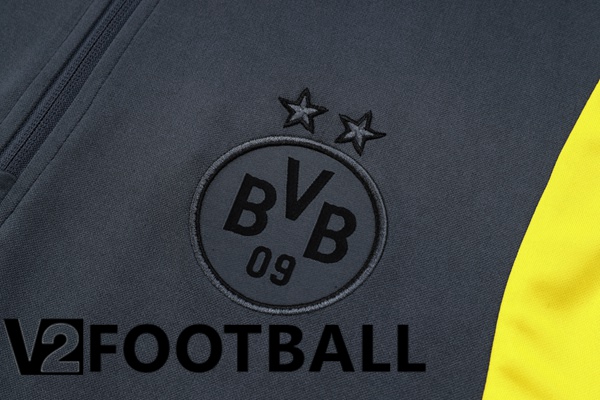 Dortmund BVB Training Tracksuit Suit Grey 2023/2024