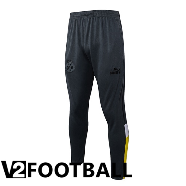 Dortmund BVB Training Pants Grey 2023/2024