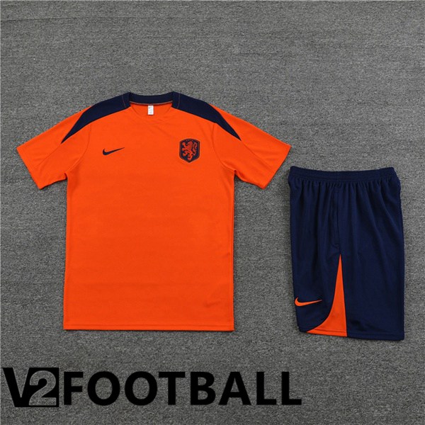 Netherlands Training T Shirt + Shorts Orange 2023/2024