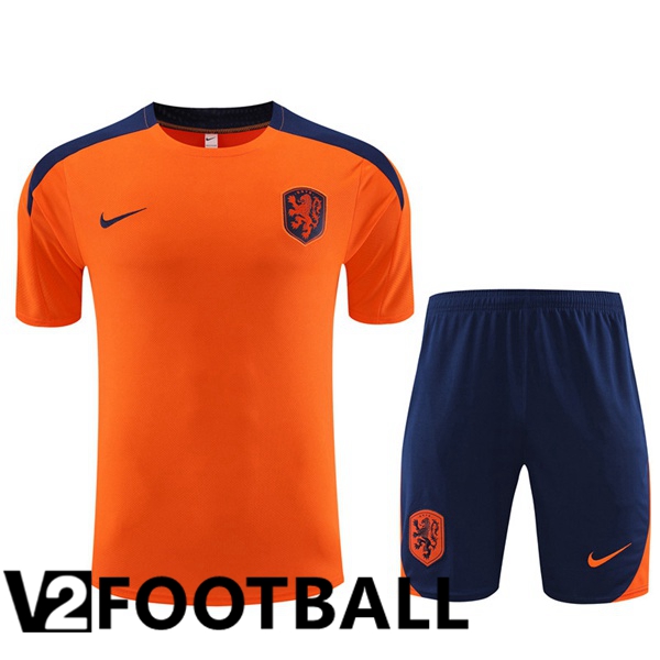 Netherlands Training T Shirt + Shorts Orange 2023/2024