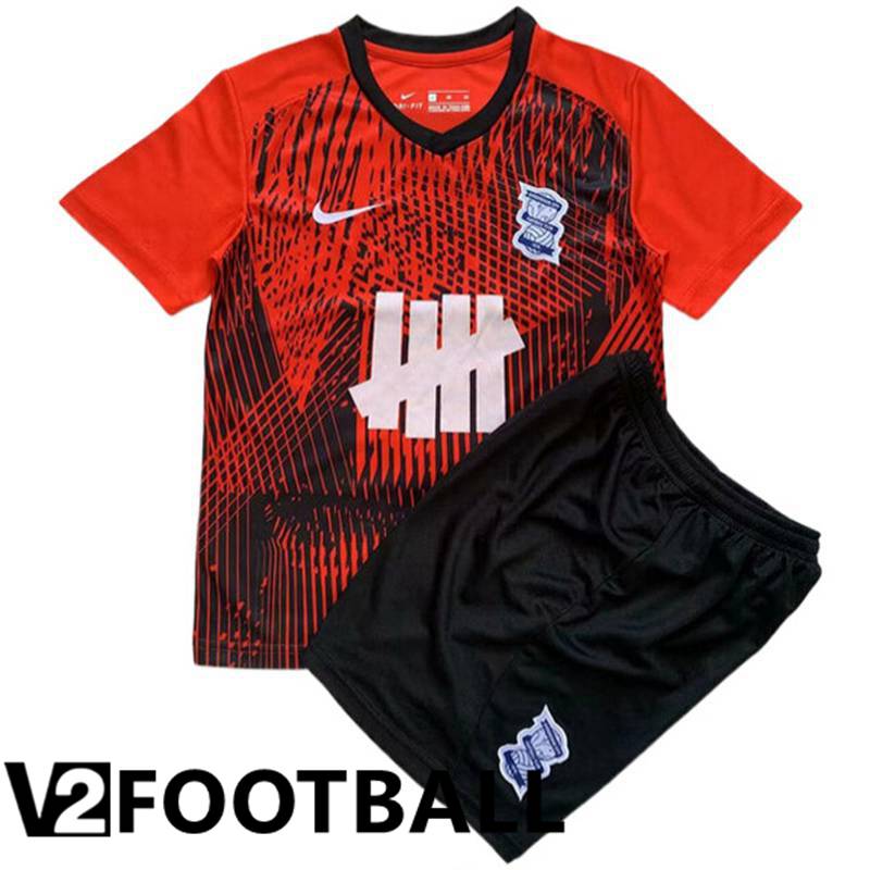 Birmingham City Kids Soccer Shirt Away 2023/2024
