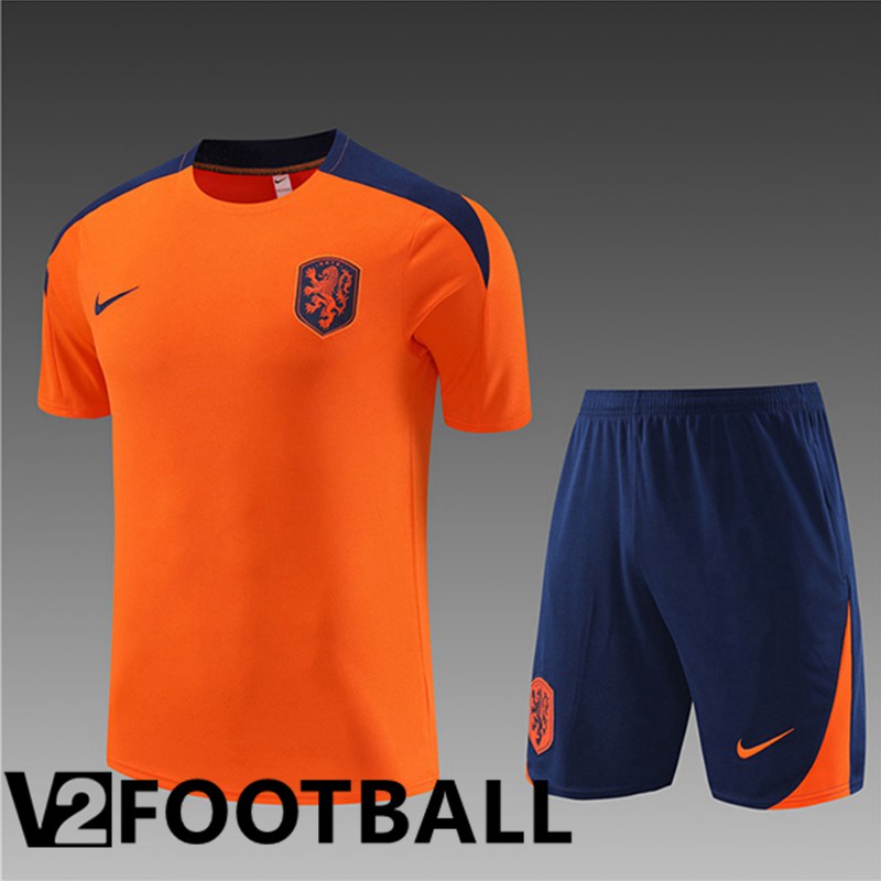 Pays-Bas Kids Training T Shirt + Shorts Orange 2023/2024
